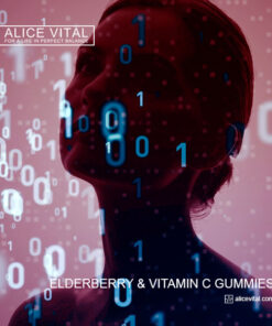 best elderberry vitamin c gummies supplement with zinc for immune support and antioxidant wellness by alicevital