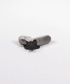chaga capsules for gut health to foster digestive wellness