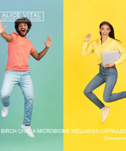 chaga capsules for microbiome wellness with birch chaga mushroom supplement for gut health digestion and daily plant based support alicevital