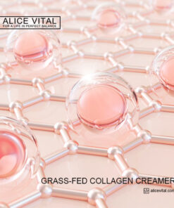 grass fed collagen creamer vanilla mixing routine for coffee tea and smoothies with smooth collagen peptides and mct blend