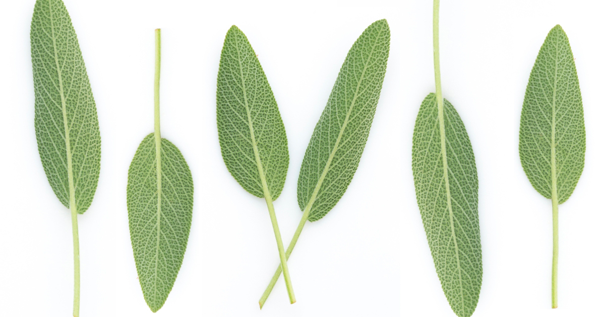 Aromaterapia