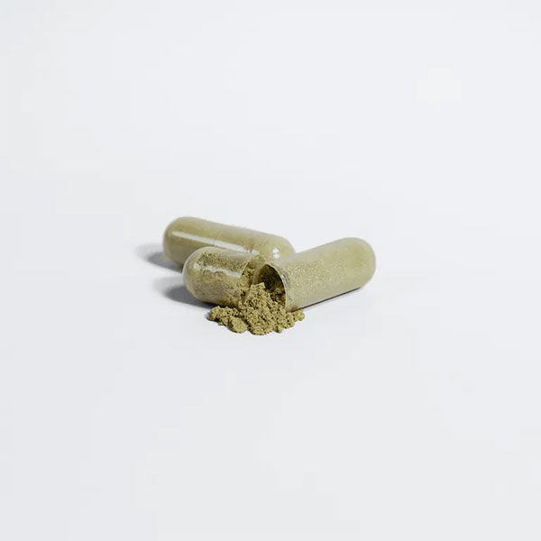 ginkgo biloba capsules with ginseng for focus support mental clarity memory routine and botanical wellness by alicevital by alicevital xxxxx