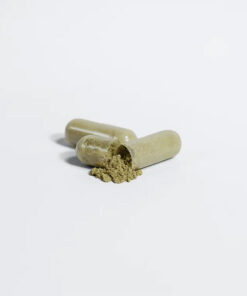 ginkgo biloba capsules with ginseng for focus support mental clarity memory routine and botanical wellness by alicevital by alicevital xxxxx