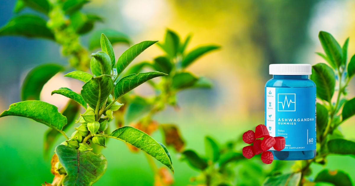 Gominolas de Ashwagandha gominolas de ashwagandha para estrés y descanso con sabor frutos rojos y diseño premium para bienestar diario constante alicevital
