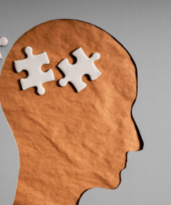 Cognitive Performance