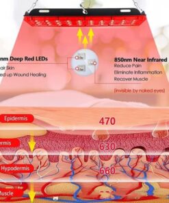 diagram showing 660nm deep red and 850nm near-infrared light penetration through skin layers for red light therapy