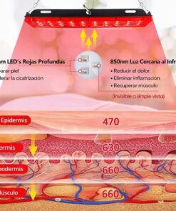 lámpara terapia luz roja con tecnología 660nm y 850nm mostrada en gráfico explicativo para recuperación muscular piel y bienestar integral