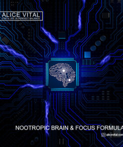 brain nootropic support image for memory routines learning consistency and responsible daily cognitive performance habits