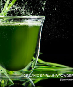 spirulina powder safety image for organic spirulina guidance side effects awareness and alicevital mindful wellness choices today care ok us