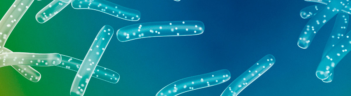 probiotic 40 billion digestive comfort benefits with prebiotics for digestive comfort gut balance microbiome wellness and daily routine by a